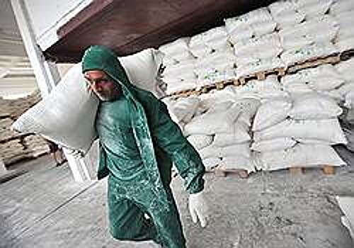 «Юг Сибири» поставил на зерно