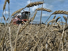 Руспродсоюз: рожь, просо и гречка востребованы только в России