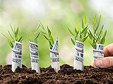 Крымский офшор: возможна ли в России налоговая гавань