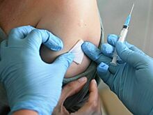 Врач рассказал, как сохранить здоровье в период сезонного всплеска гриппа