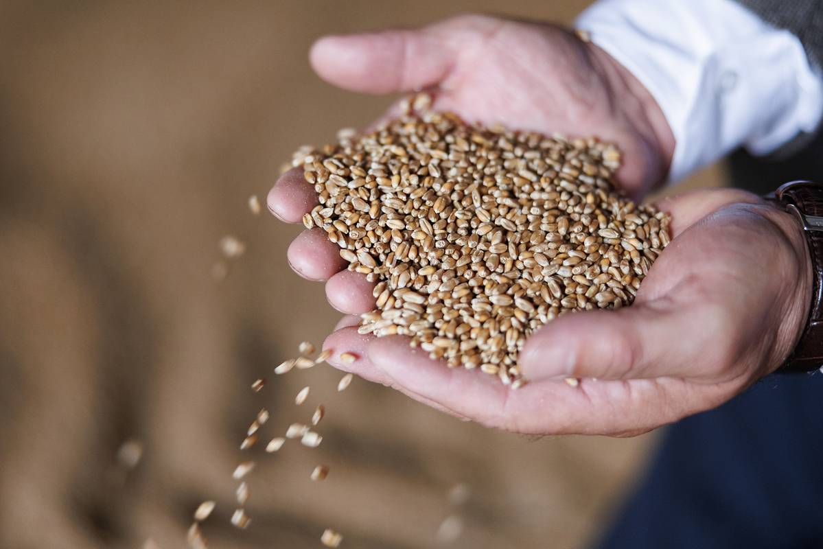 Минтранс рассказал об отправке первой партии зерна в Армению через Азербайджан