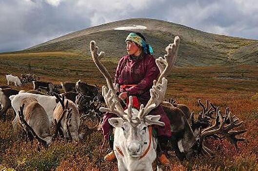 «Фестиваль ездовых оленей» состоится в Монголии