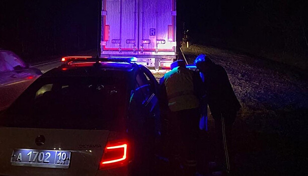 Инспекторы ДПС Карелии потушили загоревшийся на трассе «Кола» грузовик