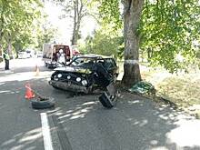 Под Полесском Volkswagen Golf врезался в дерево, водитель погиб