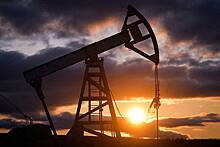 Россия резко нарастила запасы нефти