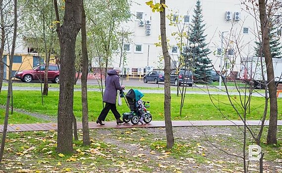 На начало года дети-сироты составляли 1,14% от общей численности детского населения Татарстана