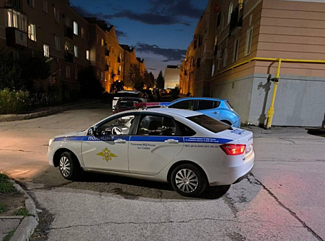 В Крутых Ключах девушка на иномарке сбила 10-летнего велосипедиста