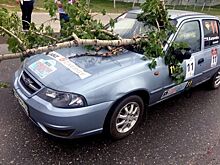 Пострадавшая из-за ветки девушка до сих пор в реанимации в Волгограде