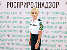 Завершился прием заявок на премию "Экология-дело каждого"