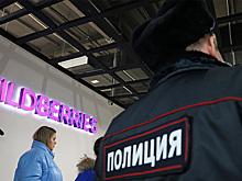 Суд приговорил россиянина к 5 годам колонии за хищение у Wildberries