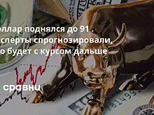 Доллар поднялся до 91 . Эксперты спрогнозировали, что будет с курсом дальше