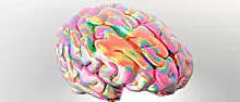 Что такое синестезия и как она связана с мозгом человека