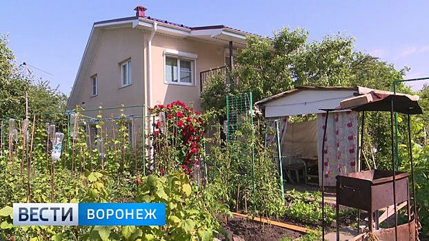 Воронежцам лучше поторопиться с межеванием дачных участков