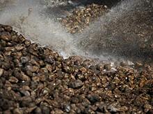 Эксперты отмечают рост продаж сахарного песка