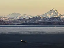 На Камчатке выступили с необычным предложением после гибели туристов