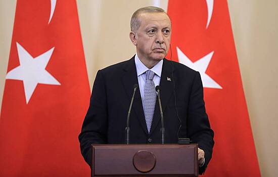 Дипломатии Эрдогана подобрали нужное сравнение