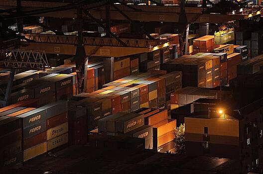 Путин оценил перспективы российско-индийской торговли