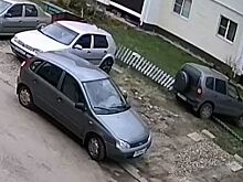 Войны за парковку в Костроме поразили интернет своей жестокостью