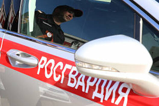 Правительство выделило на автопром 48,8 миллиарда рублей