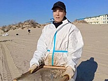 Учительница начальных классов из Славянского района приехала в Анапу на сборку мазута