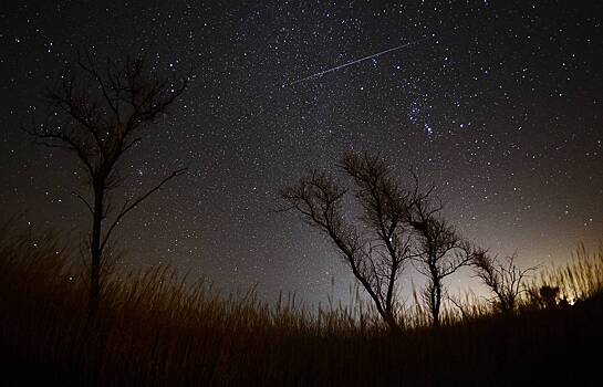 Москвичи смогут наблюдать метеорный поток Ориониды