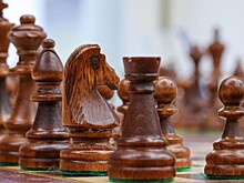 ФШР требует наказать вице-президента Европейского шахматного союза