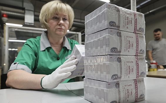 Раскрыты доходы российского бюджета от приватизации