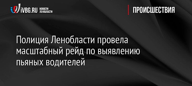 «Паутина» поймала пятерых пьяных водителей в Арзамасском районе