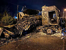 Фура с алкоголем сгорела после лобового столкновения с зерновозом