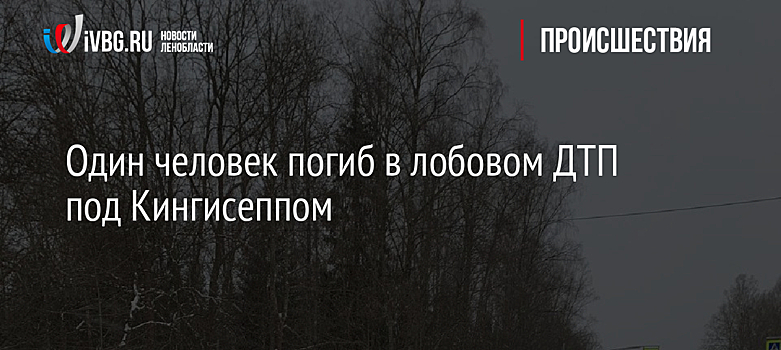 Один человек погиб в лобовом ДТП под Кингисеппом