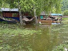 Десятки частных домов в Горном Алтае затоплены из-за непрекращающегося дождя