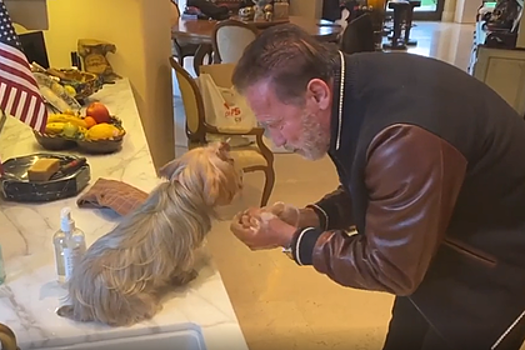 Шварценеггер поучил собаку мыть руки в рамках борьбы с коронавирусом