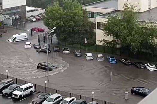 В Москве автомобили начали уходить под воду после ливней и попали на видео