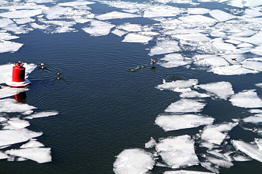 Девушку сняли с дрейфующей льдины на Москве-реке