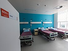 Тридцать детей из лагеря под Псковом попали в больницу с симптомами кишечной инфекции