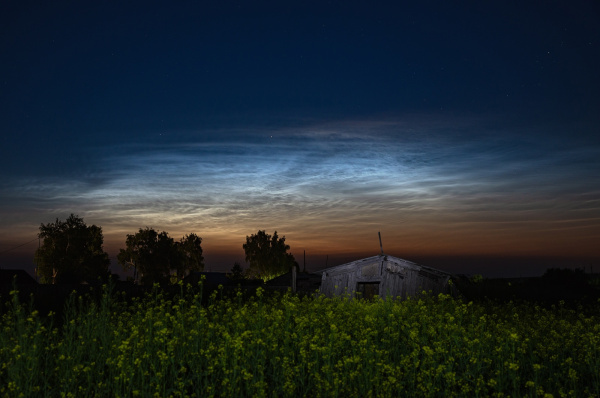 Перед рассветом в небе над Самарской областью увидели большое поле серебристых облаков