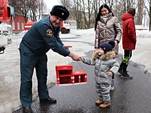 Юный курянин подарил спасателям кормушку для птиц в виде пожарного депо