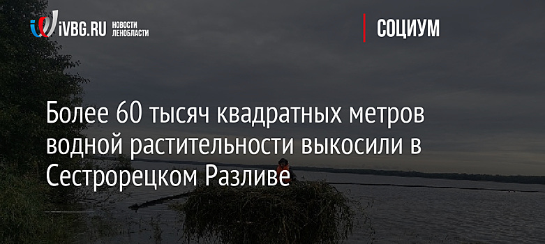 Более 60 тысяч квадратных метров водной растительности выкосили в Сестрорецком Разливе