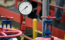 В Германии заявили о невозможности заменить российский газ