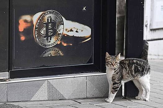 Вероятность возвращения курса биткоина к 60 тысячам долларов оценили