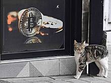 Вероятность возвращения курса биткоина к 60 тысячам долларов оценили