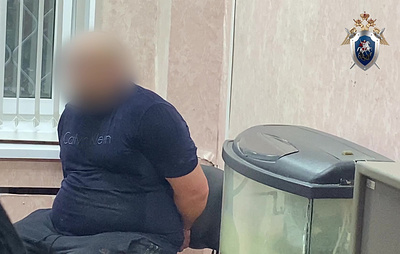 Подозреваемый в убийстве директора колледжа и адвоката под Тулой признал вину