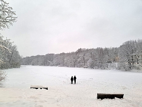Тела двух молодых людей обнаружили в нижневартовском лесу: «Кто пойдет по своей воле в лес?»
