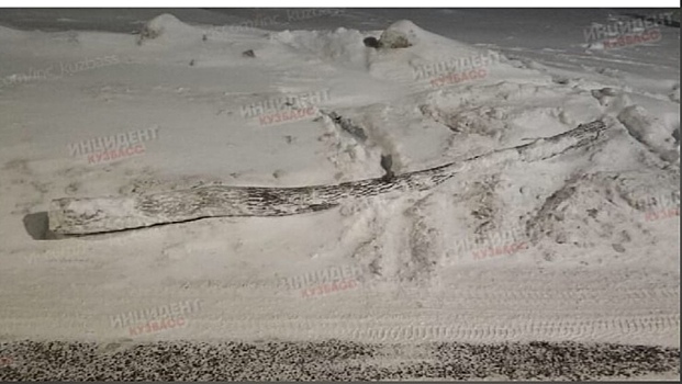 Самодельный "лежачий полицейский" возмутил кемеровского автолюбителя