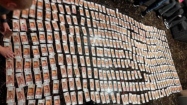 Полиция Приамурья уличила супругов в организации проституции в открытых ими массажных салонах