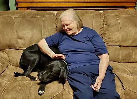 Пес спас жизнь пенсионерке, которая его ненавидела