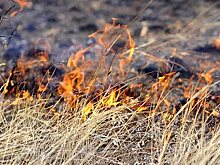 Подростки подожгли траву на берегу реки Содемы в Вологде