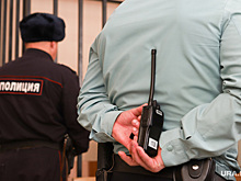 Россиянина арестовали по делу о госизмене