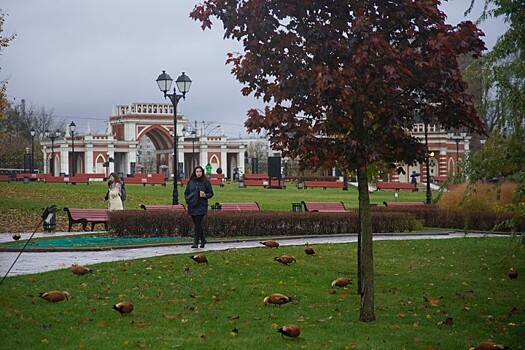 Бесплатные онлайн-лекции пройдут в московских парках