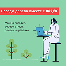 На mos.ru можно подать заявку на посадку дерева в честь рождения ребенка
